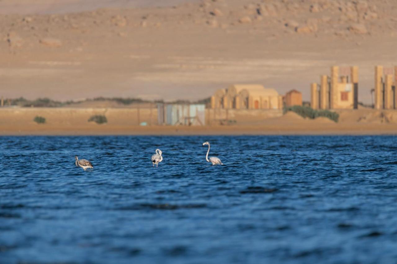Northern Lake Lodge Izbat Ilyas المظهر الخارجي الصورة