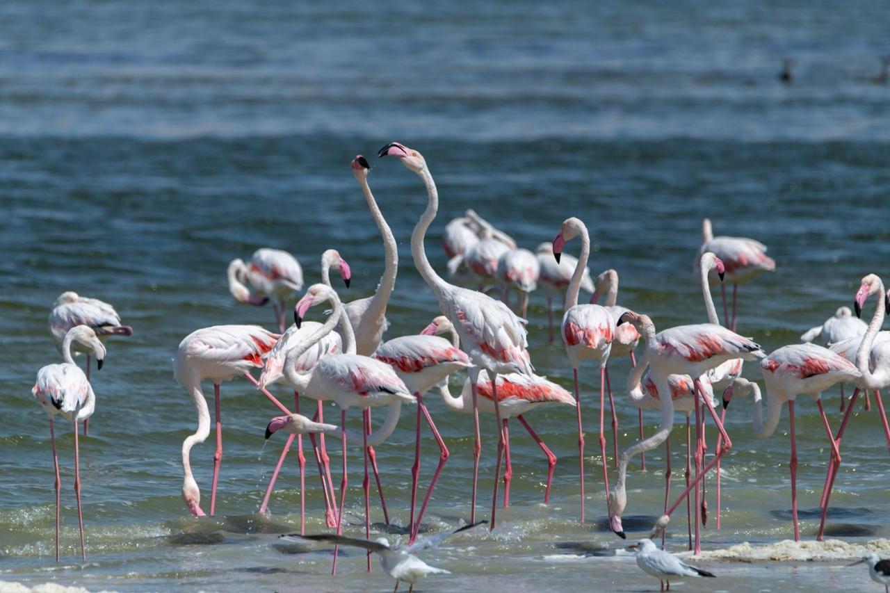 Northern Lake Lodge Izbat Ilyas المظهر الخارجي الصورة