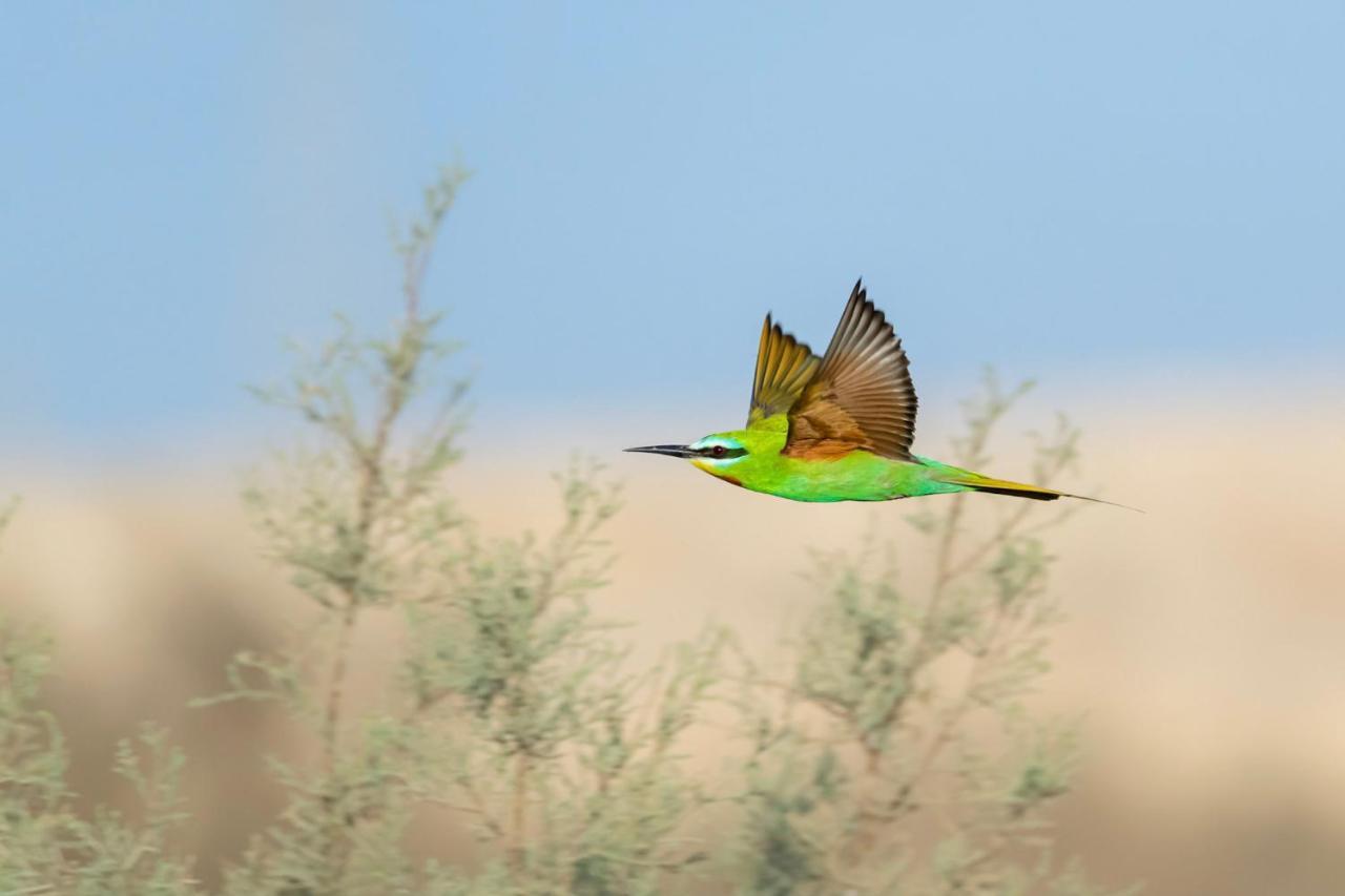 Northern Lake Lodge Izbat Ilyas المظهر الخارجي الصورة