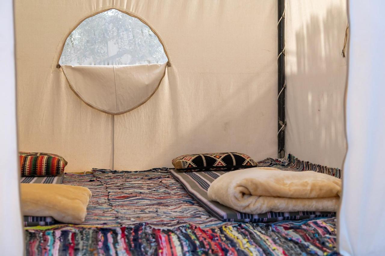 Northern Lake Lodge Izbat Ilyas المظهر الخارجي الصورة
