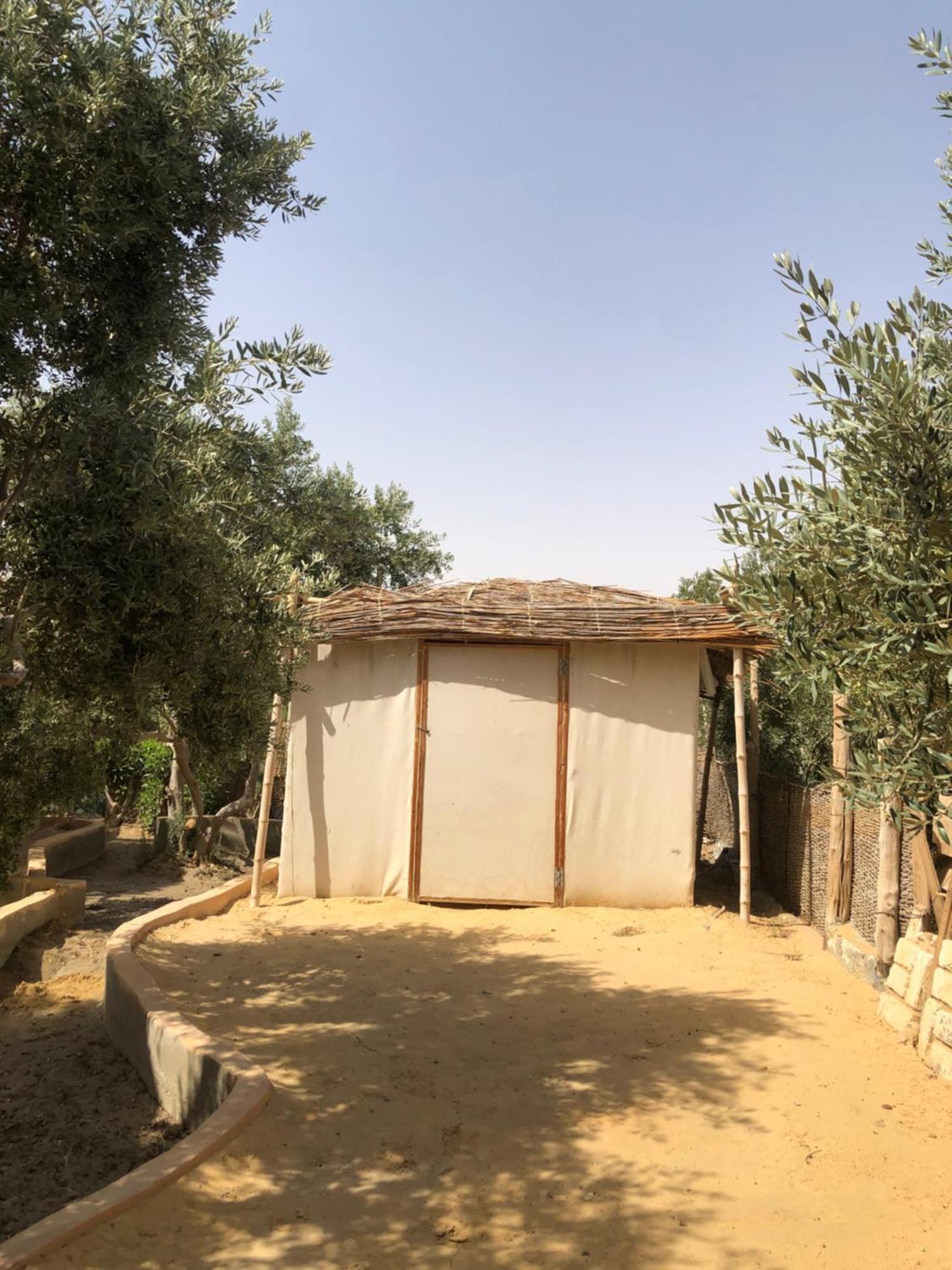Northern Lake Lodge Izbat Ilyas المظهر الخارجي الصورة